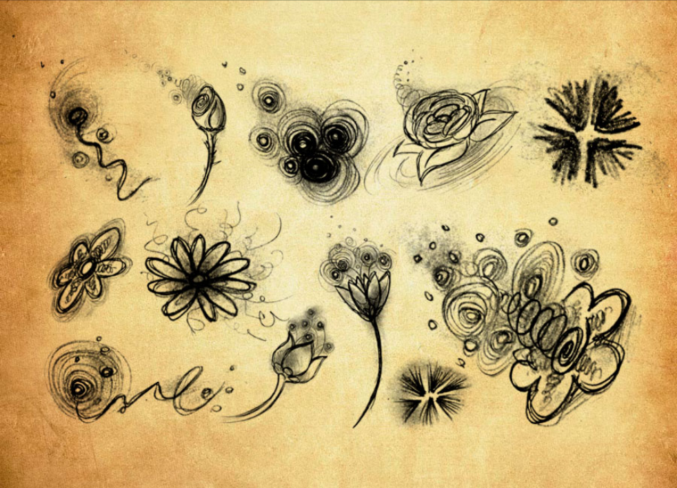 专业手绘铅笔画花朵和图案PS笔刷 - 涵盖高品质手绘铅笔画花朵和图案样式，兼容Photoshop全版本-25虚拟网