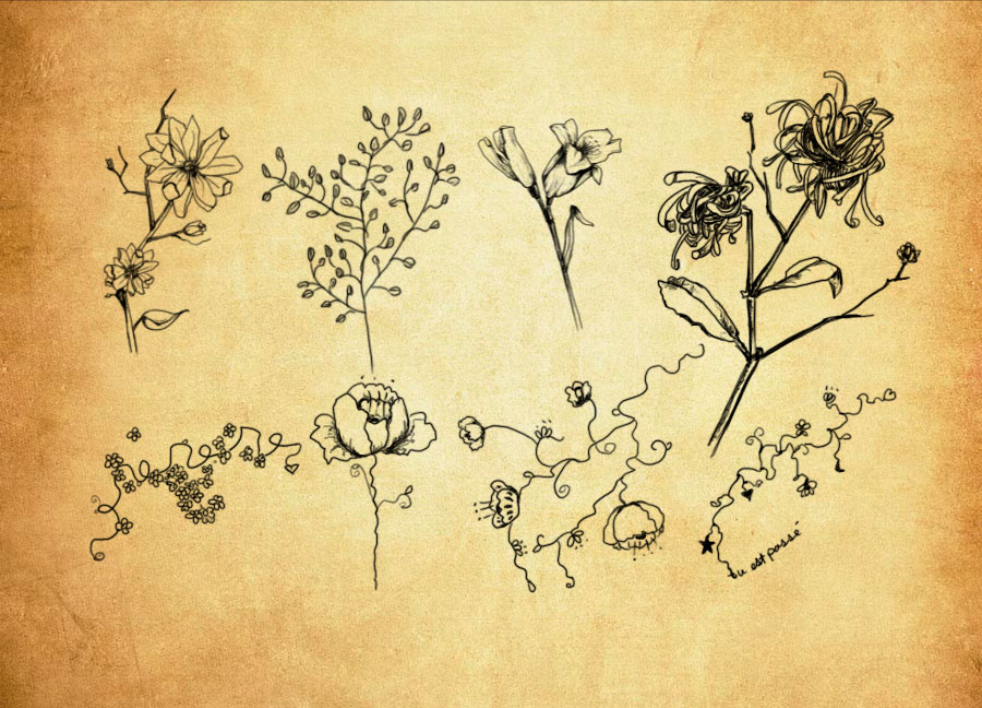 优质创意的曼陀罗花纹装饰PS笔刷 - 包含高品质创意的曼陀罗花纹装饰样式,兼容Photoshop全版本-25虚拟网