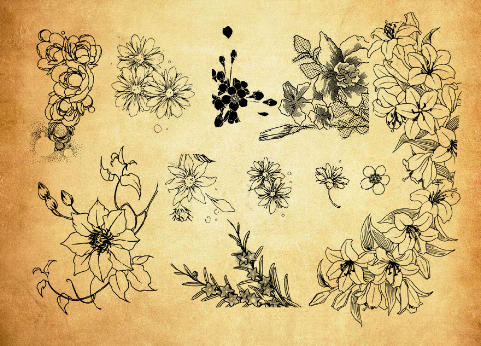时尚手绘线描花朵PS笔刷 - 专业时尚手绘线描花朵设计素材，适配Photoshop各类创作场景-25虚拟网