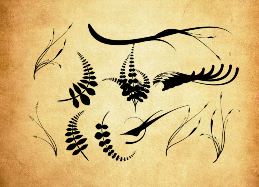 时尚的叶子藤蔓和花朵PS笔刷 - 多功能时尚的叶子藤蔓和花朵素材，适用于各类设计项目-25虚拟网