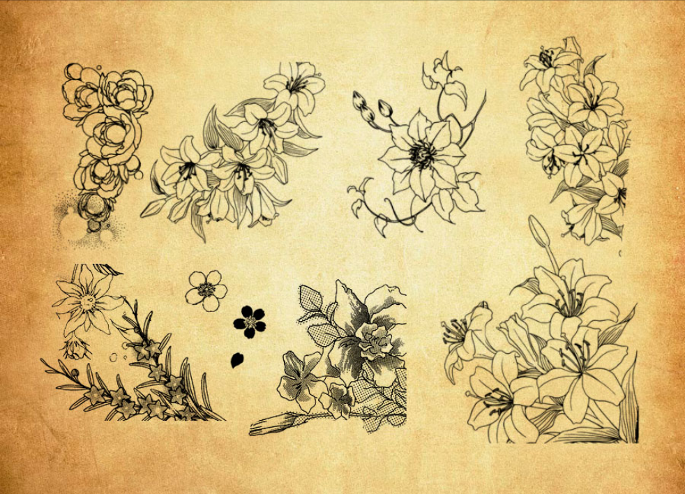 专业时尚的线条花朵装饰PS笔刷 - 包含高品质时尚的线条花朵装饰样式，兼容Photoshop全版本-25虚拟网