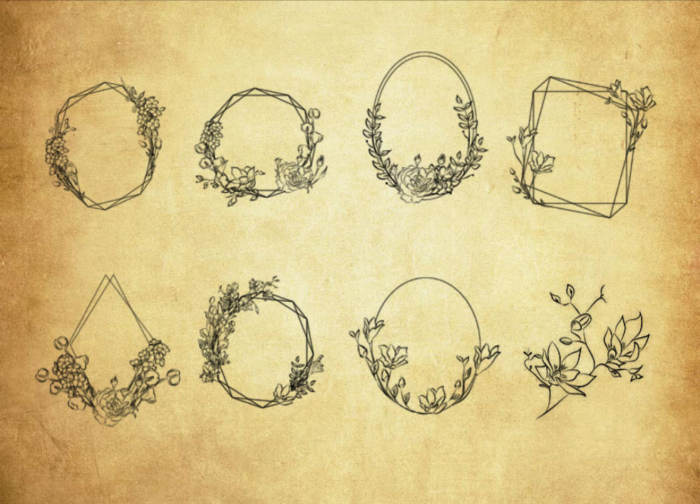 时尚线描花朵边框PS笔刷 - 精致时尚线描花朵边框元素，提升画面完整性，增强设计感-25虚拟网