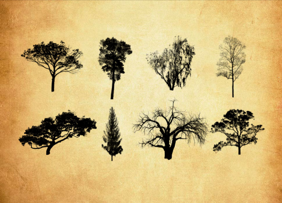 枯树和树木PS笔刷 - 多功能枯树和树木素材，适用于各类设计项目-25虚拟网