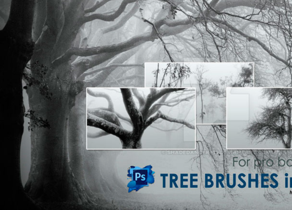 森林中的枯树PS笔刷资源 - 精选森林中的枯树元素，适用于植物花卉类设计-25虚拟网