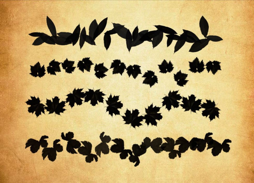 植物叶子装饰PS笔刷资源 - 精选植物叶子装饰元素，适用于装饰类设计-25虚拟网