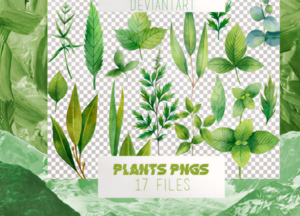 植物绿叶装饰PS笔刷下载 - 高品质植物绿叶装饰装饰素材,打造精致设计效果-25虚拟网