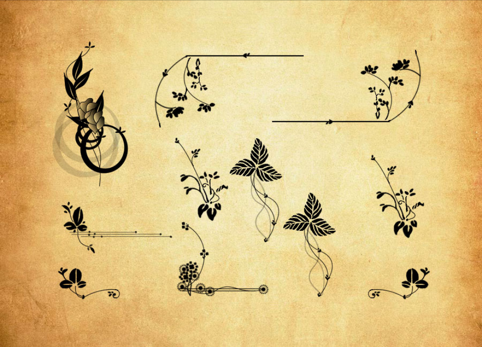 植物花纹藤蔓装饰PS笔刷 - 精美植物花纹藤蔓装饰装饰元素，提升设计作品视觉吸引力-25虚拟网