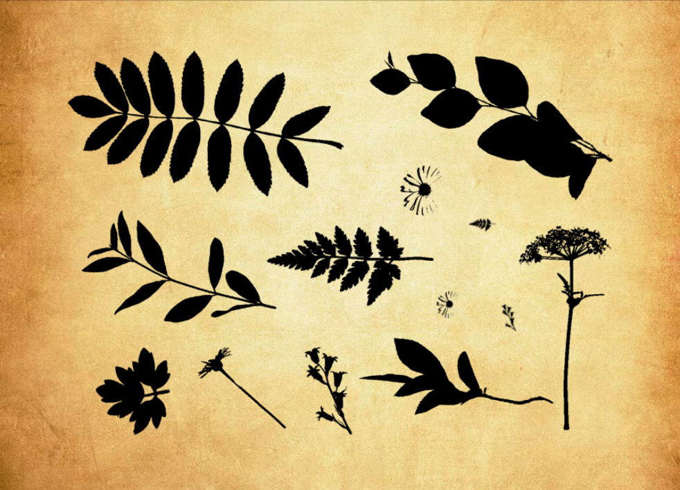 优质高清晰粉末爆炸特效PS笔刷 - 包含高品质高清晰粉末爆炸特效样式,兼容Photoshop全版本-25虚拟网