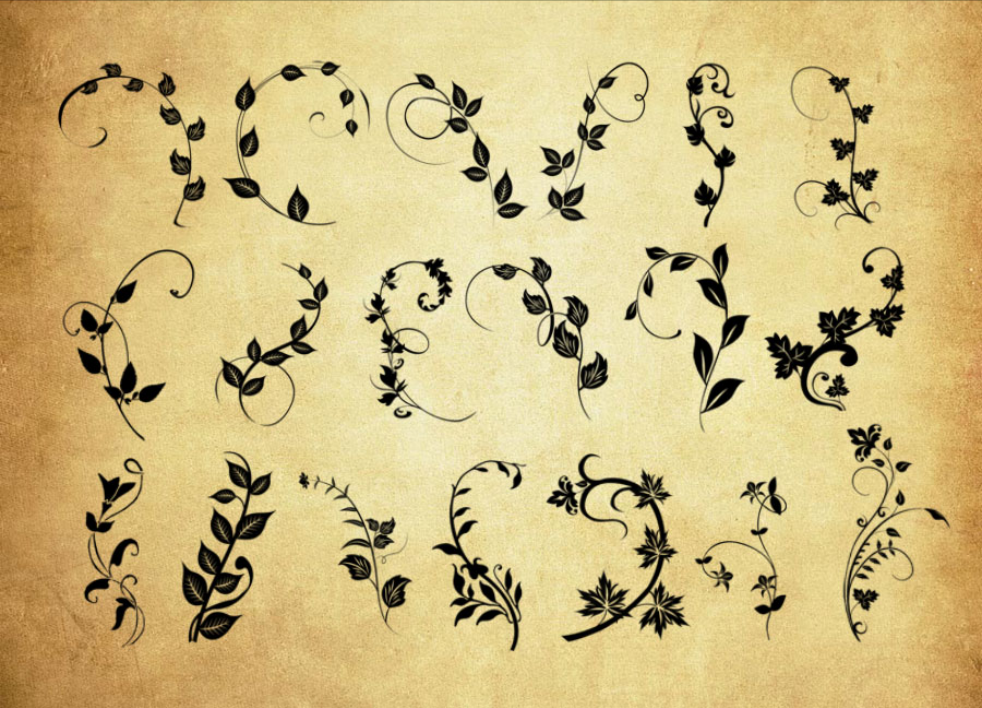 植物藤蔓和花藤PS笔刷 - 专业植物藤蔓和花藤设计素材，适配Photoshop各类创作场景-25虚拟网