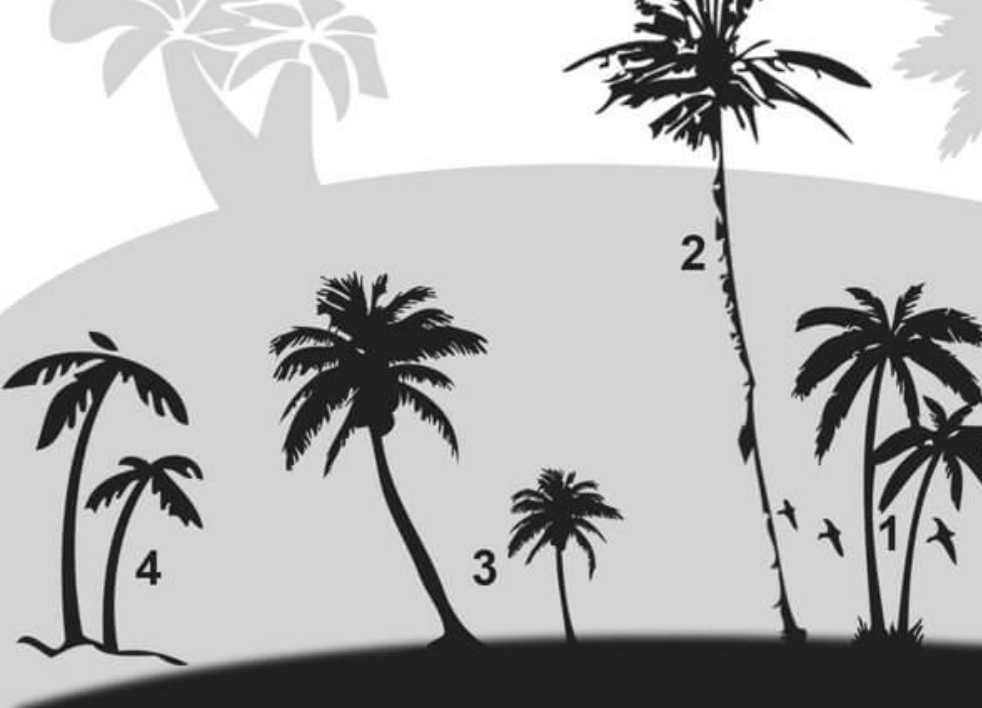 手绘心形花纹和LOVE图标PS笔刷 - 精致手绘心形花纹和LOVE图标图案，打造独特设计风格，提升作品质感-25虚拟网