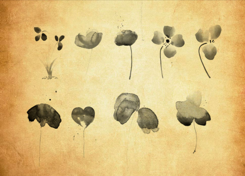 水彩三叶草和植物PS笔刷 - 高效水彩三叶草和植物设计工具，节省80%手动绘制时间-25虚拟网