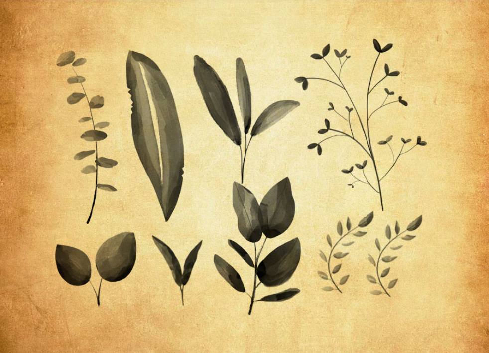 水彩树叶和叶子PS笔刷 - 高效水彩树叶和叶子设计工具，节省80%手动绘制时间-25虚拟网