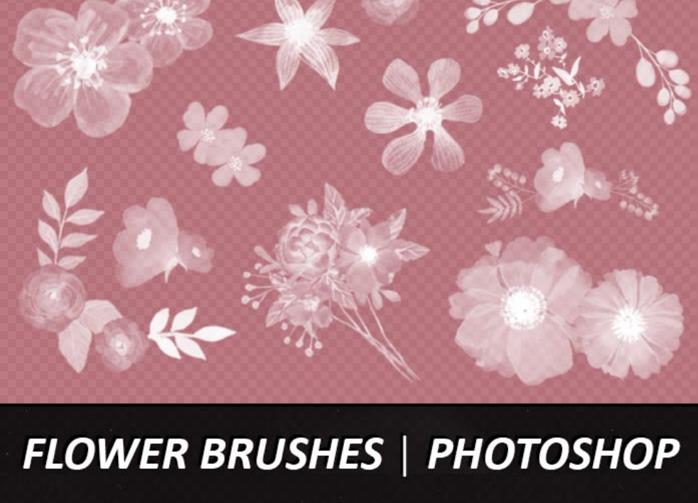 水彩花朵和花卉装饰PS笔刷资源 - 精选水彩花朵和花卉装饰元素,适用于装饰类设计-25虚拟网