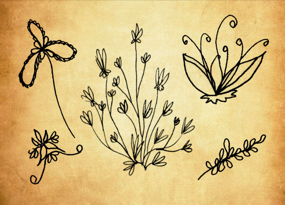 涂鸦手绘植物装饰PS笔刷 - 高效涂鸦手绘植物装饰设计工具，节省80%手动绘制时间-25虚拟网