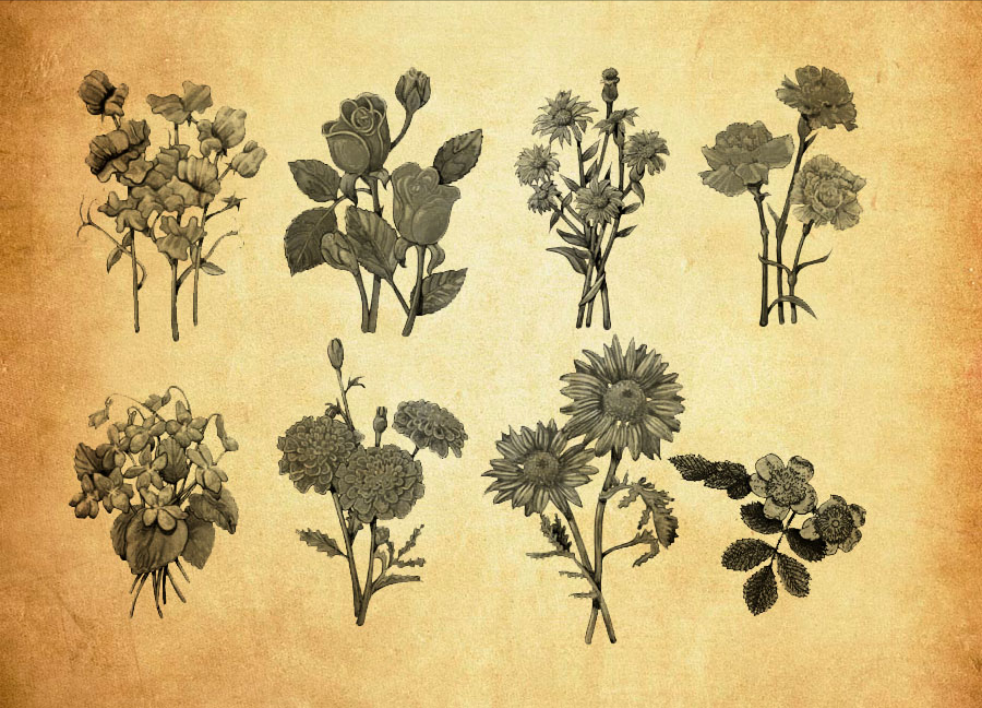 专业热带植物丛林PS笔刷 - 涵盖高品质热带植物丛林样式，兼容Photoshop全版本-25虚拟网