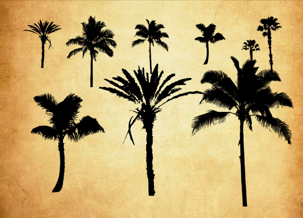 优质热带椰树剪影PS笔刷下载 - 提高热带椰树剪影设计效率，新手也能轻松上手-25虚拟网