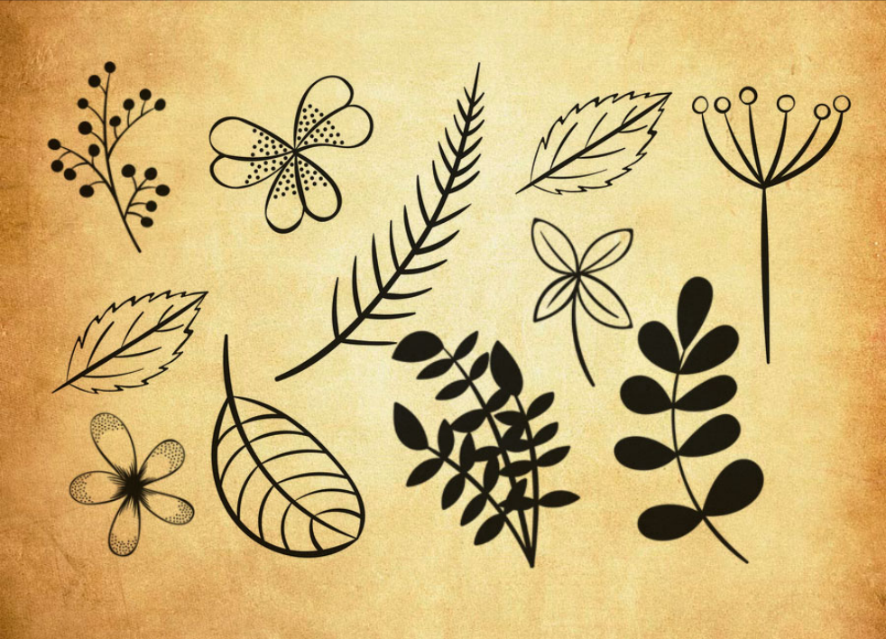 矢量藤蔓装饰PS笔刷下载 – 高品质矢量藤蔓装饰装饰素材，打造精致设计效果-25虚拟网