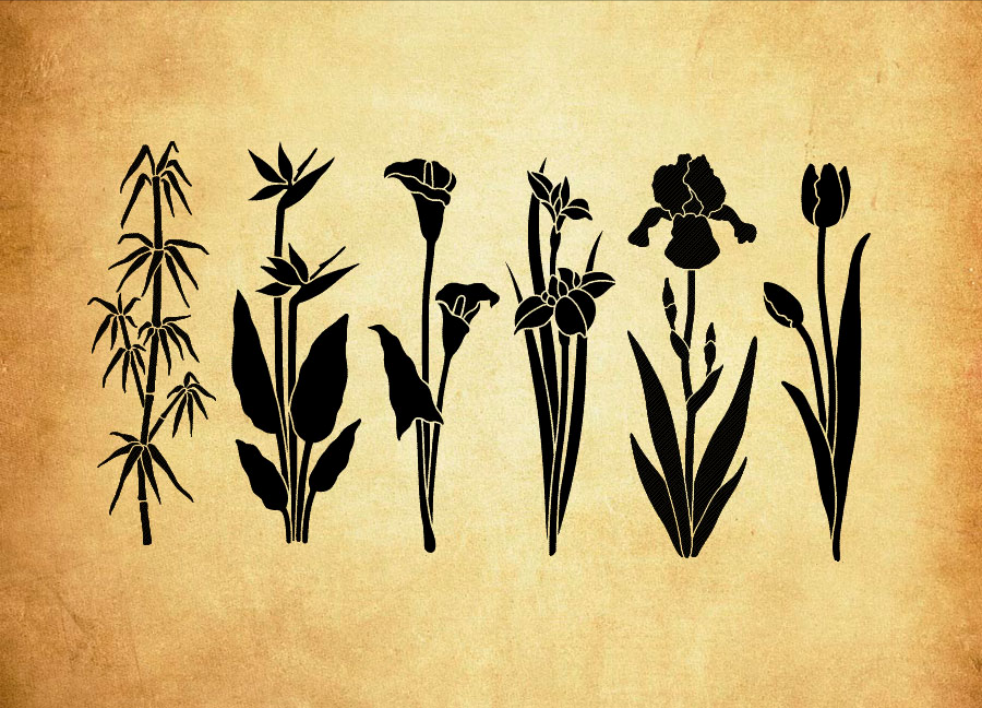 矢量风格花卉和竹子PS笔刷 - 专业矢量风格花卉和竹子设计素材,适配Photoshop各类创作场景-25虚拟网