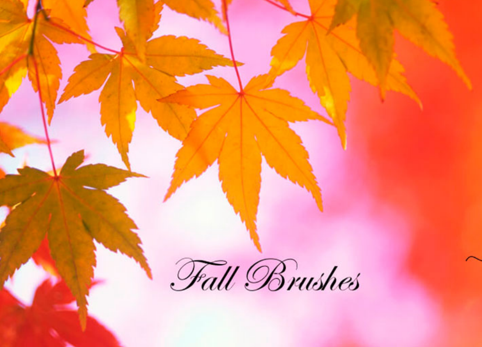 精选飘逸的翅膀PS笔刷 - 高品质飘逸的翅膀资源，提升设计专业度-25虚拟网