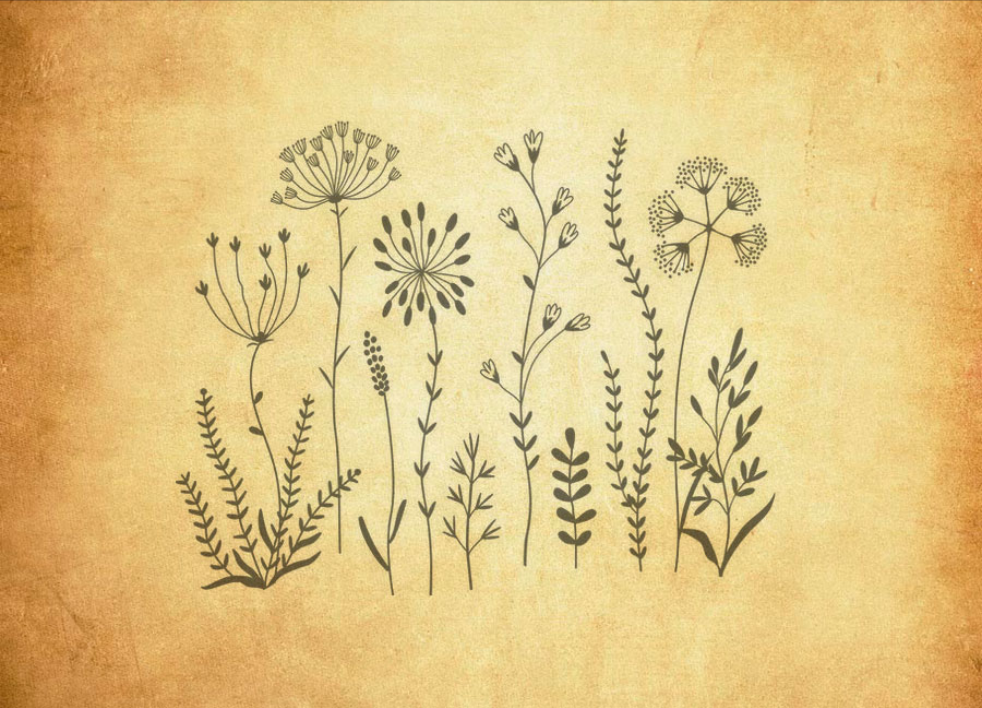 简约时尚花朵装饰PS笔刷 - 高效简约时尚花朵装饰设计工具，节省80%手动绘制时间-25虚拟网