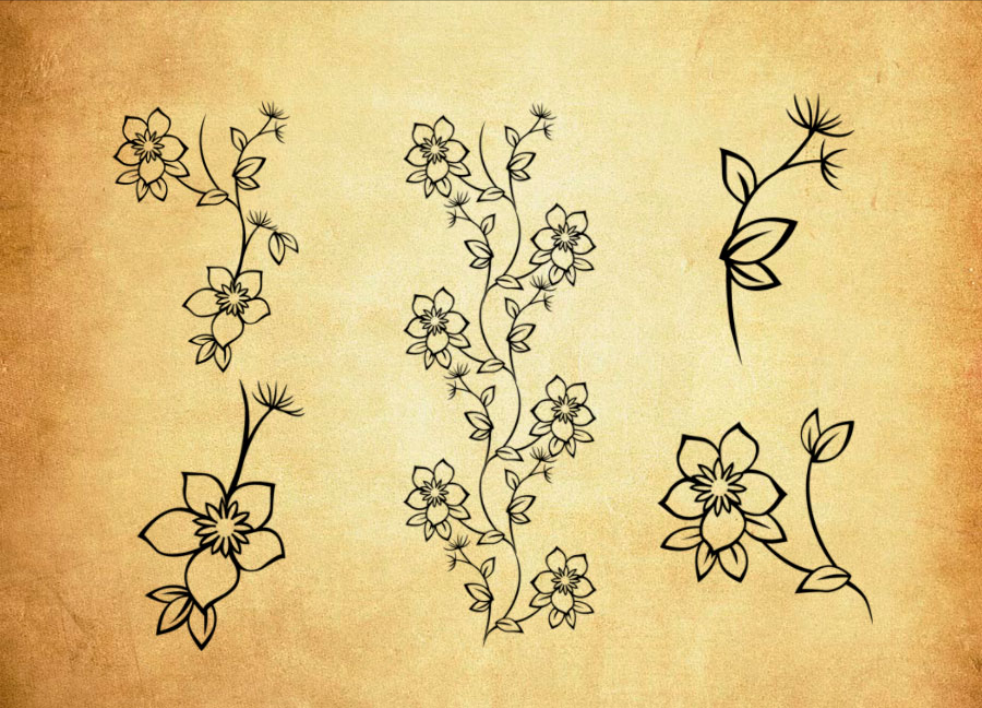 优质简约的线描花朵装饰PS笔刷 - 涵盖高品质简约的线描花朵装饰样式，兼容Photoshop全版本-25虚拟网