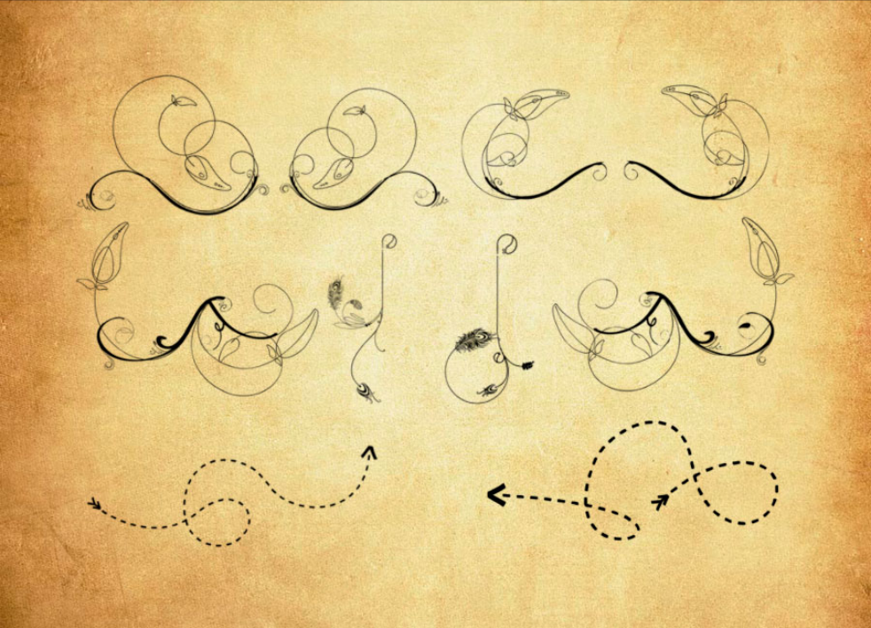 优质纤细的花纹和虚线PS笔刷下载 – 提升纤细的花纹和虚线设计效率，新手也能轻松上手-25虚拟网