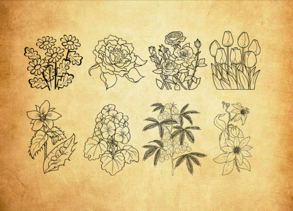线描风格的花朵和花枝PS笔刷 - 高效线描风格的花朵和花枝设计工具，节省80%手动绘制时间-25虚拟网
