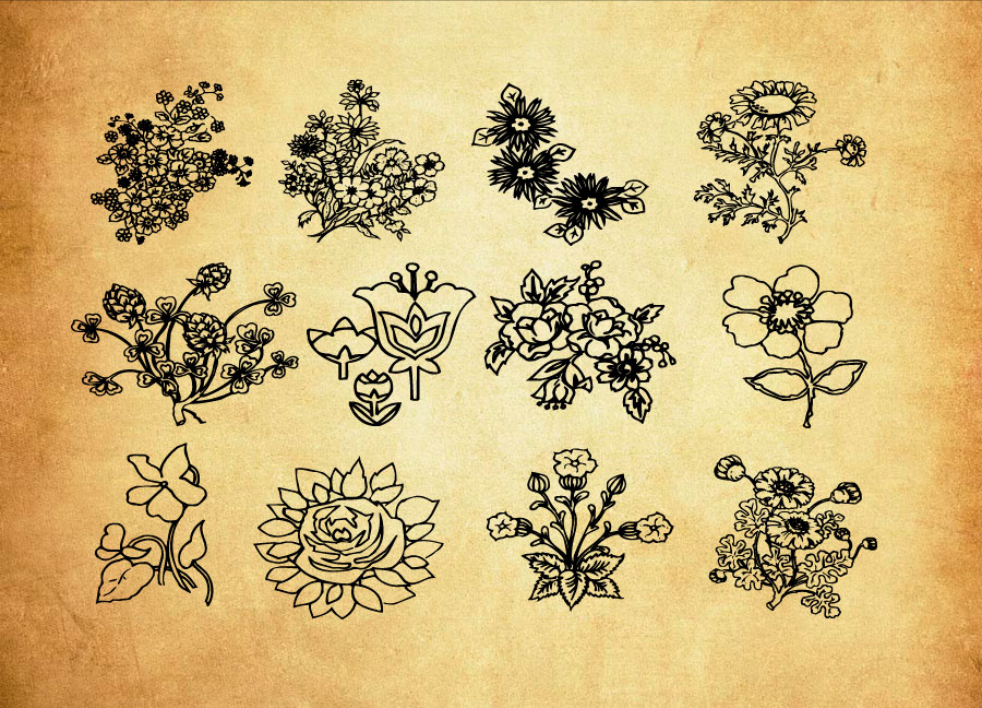 优质线描鲜花和花束PS笔刷下载 - 提升线描鲜花和花束设计效率,新手也能轻松上手-25虚拟网