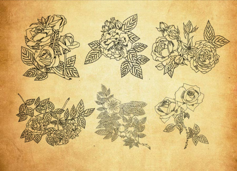 线条花朵和花枝装饰PS笔刷 - 专业线条花朵和花枝装饰设计素材，适合Photoshop各类创作场景-25虚拟网