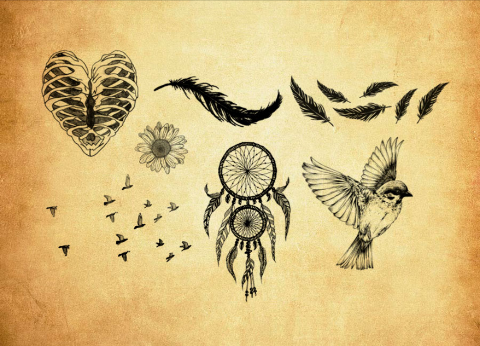 羽毛鸟类和心形装饰PS笔刷资源 - 精选羽毛鸟类和心形装饰元素，适用于装饰类设计-25虚拟网