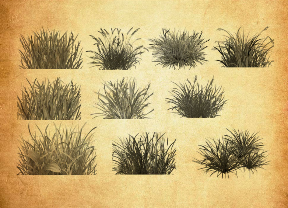 专业草丛和植物装饰PS笔刷 - 丰富草丛和植物装饰装饰样式，适用于海报、包装、UI设计-25虚拟网