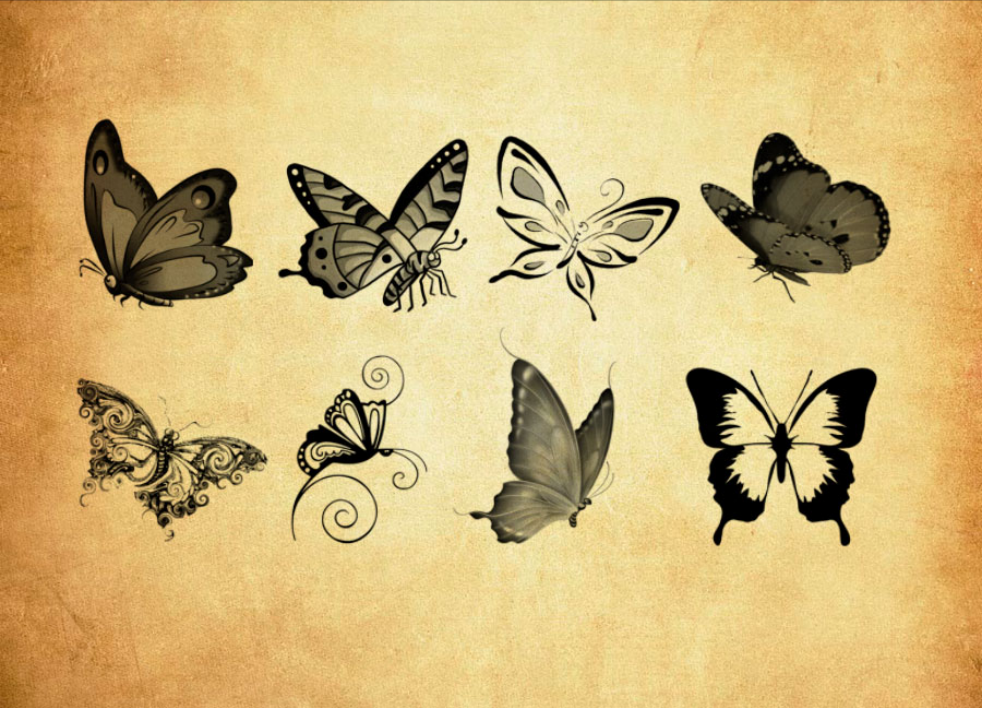 优质蝴蝶等昆虫PS笔刷下载 - 提高蝴蝶等昆虫设计效率，新手也能轻松上手-25虚拟网