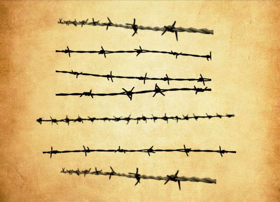 专业铁丝栅栏和围栏PS笔刷 - 包含高品质铁丝栅栏和围栏样式,兼容Photoshop全版本-25虚拟网