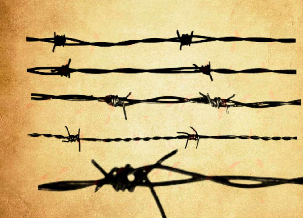 铁栅栏和铁丝栅栏PS笔刷 - 高效铁栅栏和铁丝栅栏设计工具,节省80%手动绘制时间-25虚拟网