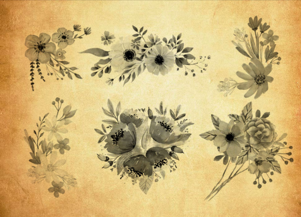 高清手绘花朵花卉装饰PS笔刷下载 - 高品质高清手绘花朵花卉装饰装饰素材，打造精致设计效果-25虚拟网