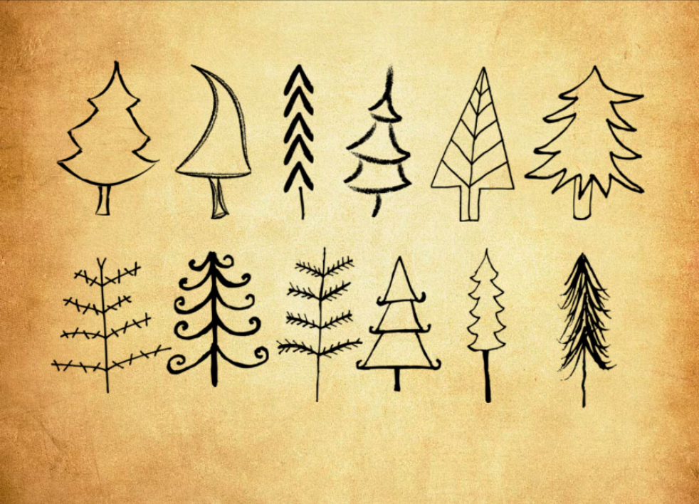 高清晰碳素涂鸦松树PS笔刷资源 - 精选高清晰碳素涂鸦松树元素，适用于植物花卉类设计-25虚拟网