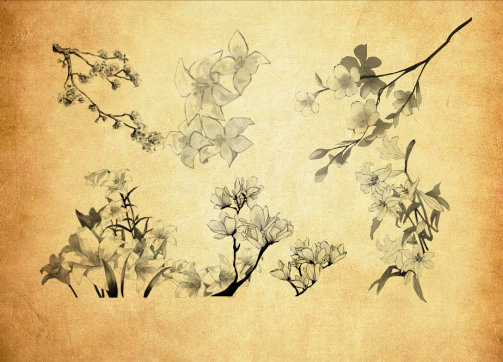 高清晰手绘花朵花卉PS笔刷资源 - 精选高清晰手绘花朵花卉元素，适用于手绘类设计-25虚拟网