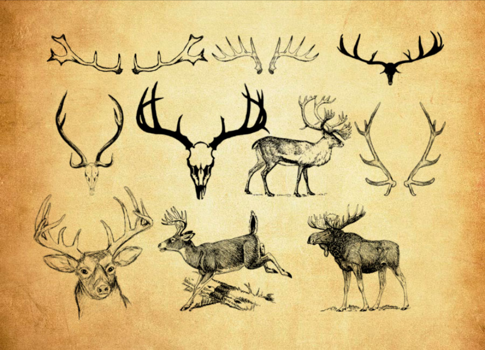 圣诞节装饰元素大全PS笔刷资源 - 精选圣诞节装饰元素大全元素，适用于装饰类设计-25虚拟网