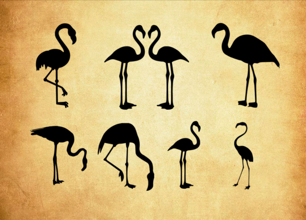 高清晰火烈鸟剪影图形PS笔刷 - 生动高清晰火烈鸟剪影图形元素,还原自然质感,提升设计真实感-25虚拟网