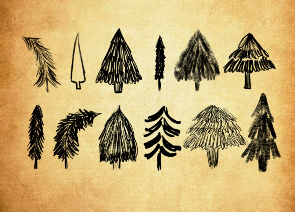 高清晰碳素涂鸦松树PS笔刷资源 - 精选高清晰碳素涂鸦松树元素,适用于植物花卉类设计-25虚拟网