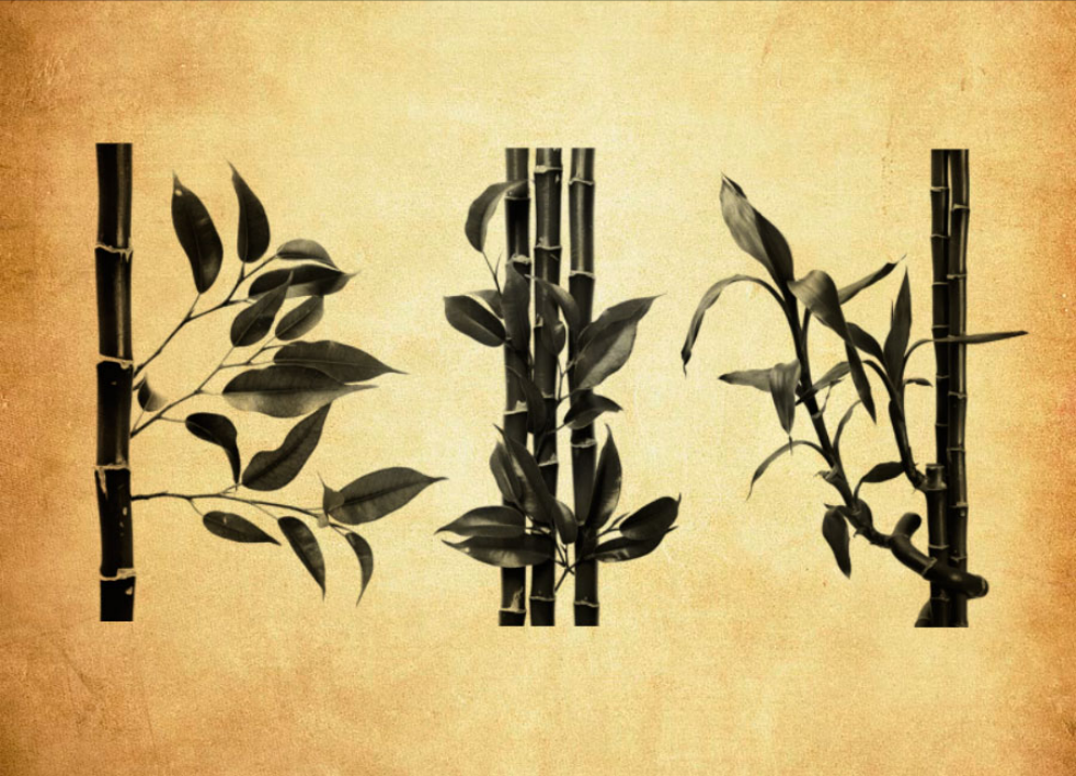 高清晰竹子和竹节PS笔刷 - 专业高清晰竹子和竹节设计素材,适配Photoshop各类创作场景-25虚拟网