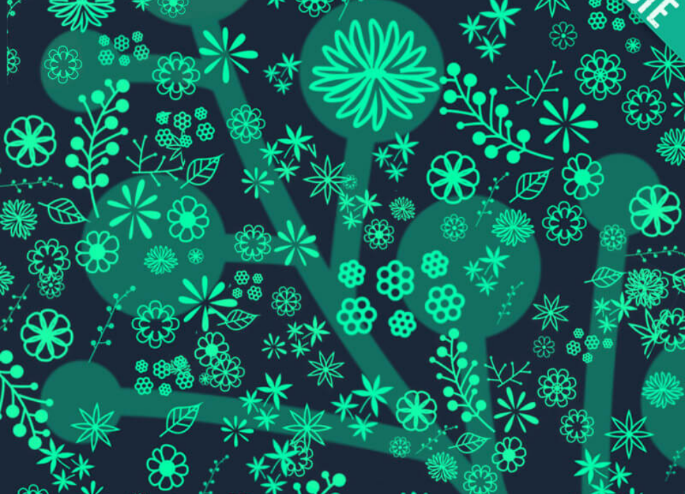 高清晰花朵和绿叶PS笔刷资源 - 精选高清晰花朵和绿叶元素，适用于植物花卉类设计-25虚拟网