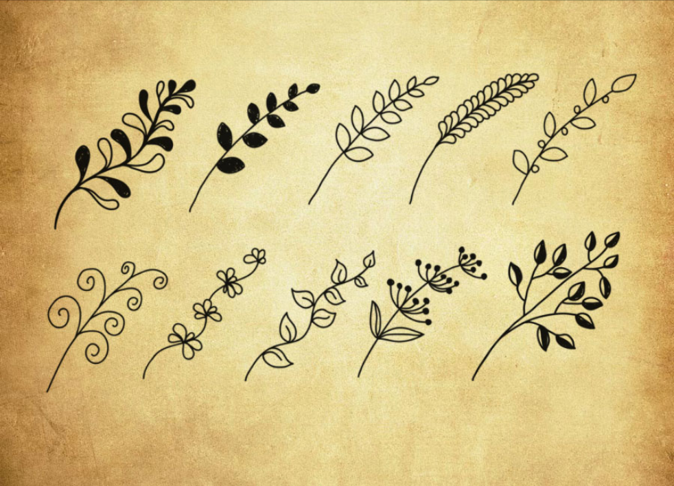 高清晰藤蔓PS笔刷 - 专业高清晰藤蔓设计素材，适配Photoshop各类创作场景-25虚拟网