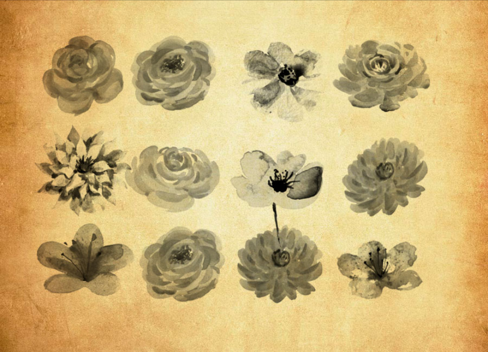 优质高清水彩花朵和花卉PS笔刷 - 涵盖高品质高清水彩花朵和花卉样式，兼容Photoshop全版本-25虚拟网